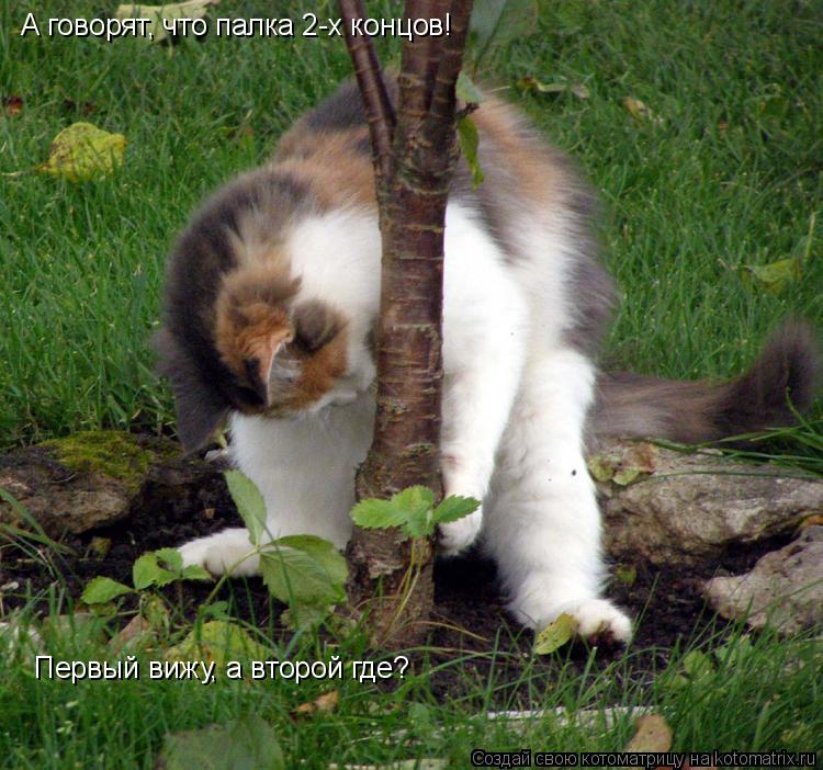 Первый вижу, а второй где? А говорят, что палка 2-х концов!... Котоматрица: Первый вижу, а второй где? А говорят, что палка 2-х концов!