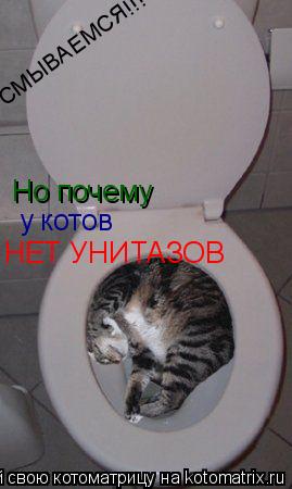 Котоматрица: СМЫВАЕМСЯ!!!        Но почему  Но почему  у котов НЕТ УНИТАЗОВ
