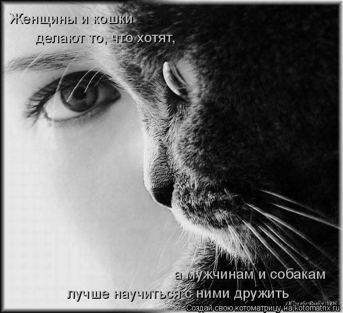 Женщины и кошки делают то, что хотят, а мужчинам и собакам лучше научиться с ними дружить... Котоматрица: Женщины и кошки делают то, что хотят, а мужчинам и собакам лучше научиться с ними дружить