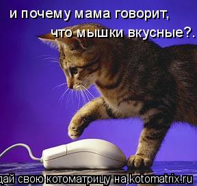 Котоматрица: и почему мама говорит,  что мышки вкусные?..