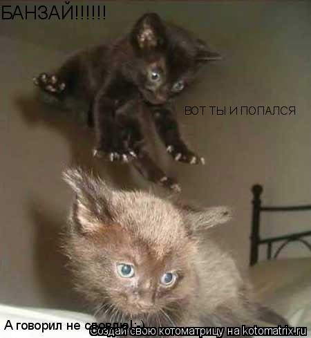 ВОТ ТЫ И ПОПАЛСЯ БАНЗАЙ!!!!!! А говорил не словлю!:-)... Котоматрица: ВОТ ТЫ И ПОПАЛСЯ БАНЗАЙ!!!!!! А говорил не словлю!:-)