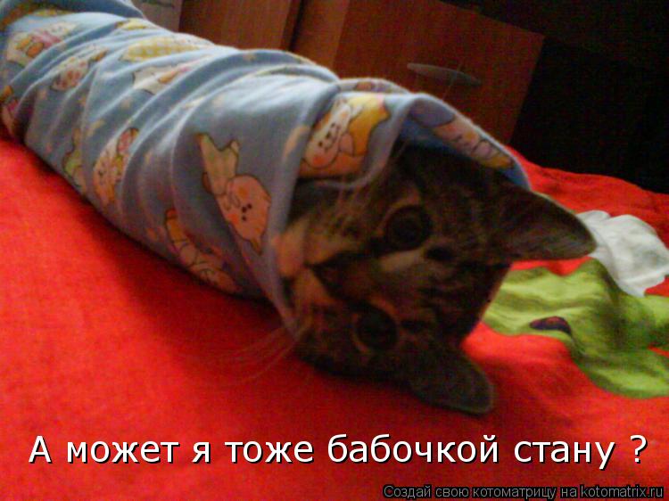 А может я тоже бабочкой стану ?... Котоматрица: А может я тоже бабочкой стану ?