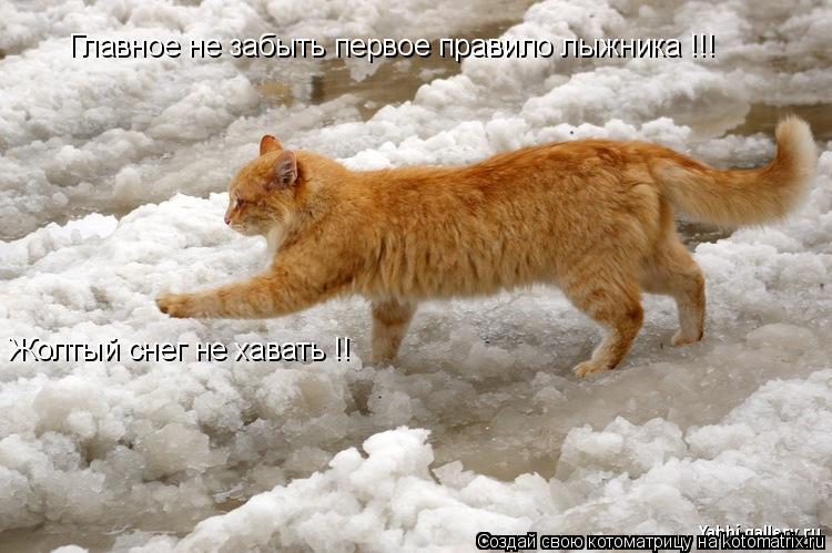 Главное не забыть первое правило лыжника !!! Жолтый снег не хавать !!... Котоматрица: Главное не забыть первое правило лыжника !!! Жолтый снег не хавать !!