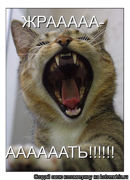 ЖРААААА- ААААААТЬ!!!!!!... Котоматрица: ЖРААААА- ААААААТЬ!!!!!!