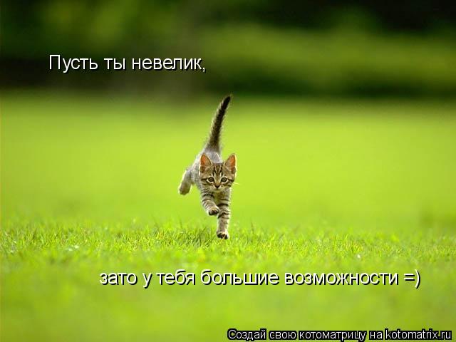 Пусть ты невелик, зато у тебя большие возможности =)... Котоматрица: Пусть ты невелик, зато у тебя большие возможности =)