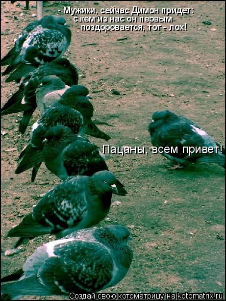 - Мужики, сейчас Димон придет: с кем из нас он первым поздоровается, тот - лох! Пацаны, всем привет... Котоматрица: - Мужики, сейчас Димон придет: с кем из нас он первым поздоровается, тот - лох! Пацаны, всем привет!