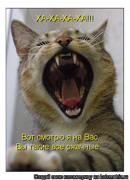 ХА-ХА-ХА-ХА!!! Вот смотрю я на Вас, Вы такие все ржачные... Котоматрица: ХА-ХА-ХА-ХА!!! Вот смотрю я на Вас, Вы такие все ржачные