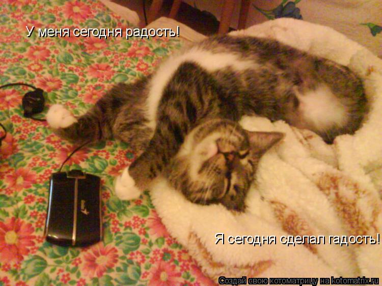 У меня сегодня радость! Я сегодня сделал гадость!... Котоматрица: У меня сегодня радость! Я сегодня сделал гадость!