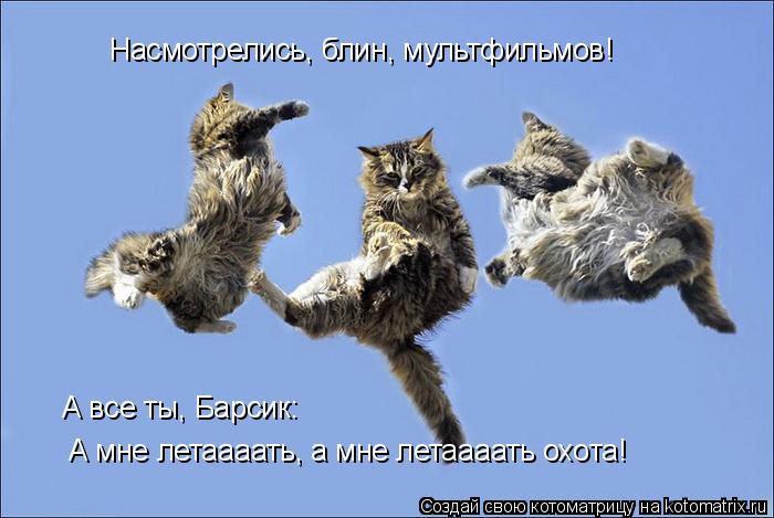 Насмотрелись, блин, мультфильмов! А мне летаааать, а мне летаааать охота! А все ты, Барсик:... Котоматрица: Насмотрелись, блин, мультфильмов! А мне летаааать, а мне летаааать охота! А все ты, Барсик: