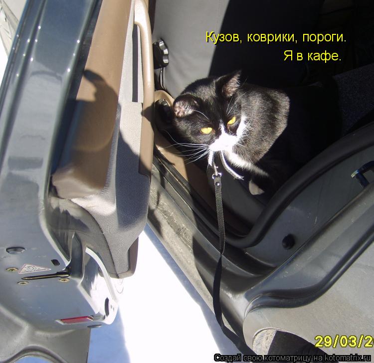 Котоматрица: Кузов, коврики, пороги. Я в кафе.