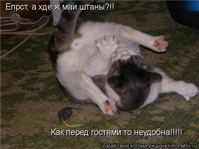 Епрст, а хде ж маи штаны?!! Как перед гостями то неудобна!!!!!... Котоматрица: Епрст, а хде ж маи штаны?!! Как перед гостями то неудобна!!!!!