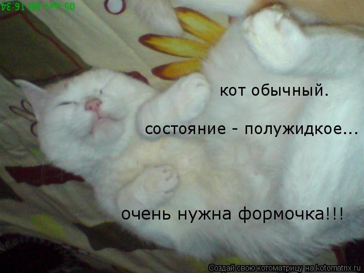 кот обычный. состояние - полужидкое... очень нужна формочка!!!... Котоматрица: кот обычный. состояние - полужидкое... очень нужна формочка!!!