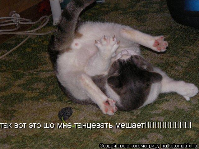 так вот это шо мне танцевать мешает!!!!!!!!!!!!!!!!!!!... Котоматрица: так вот это шо мне танцевать мешает!!!!!!!!!!!!!!!!!!!