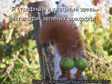 Я страфный и ужафный звевь - Метальфик зеленых орехофф!... Котоматрица: Я страфный и ужафный звевь - Метальфик зеленых орехофф!