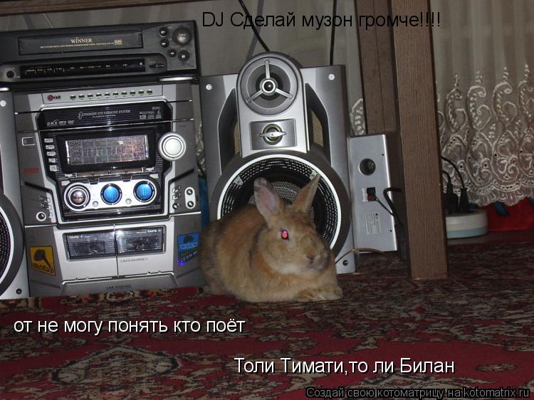 DJ Сделай музон громче!!!! от не могу понять кто поёт Толи Тимати,то ли Билан... Котоматрица: DJ Сделай музон громче!!!! от не могу понять кто поёт Толи Тимати,то ли Билан