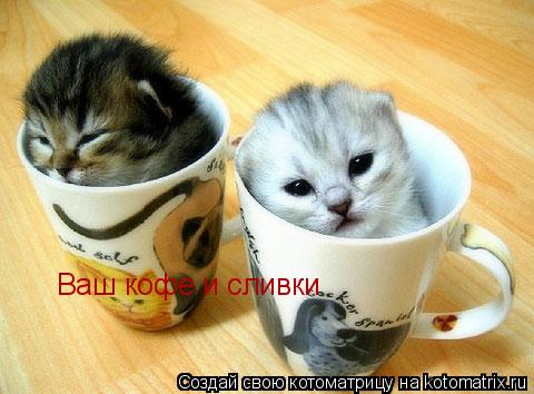 Ваш кофе и сливки... Котоматрица: Ваш кофе и сливки
