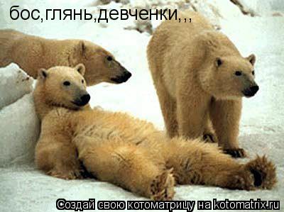 бос,глянь,девченки,,,... Котоматрица: бос,глянь,девченки,,,
