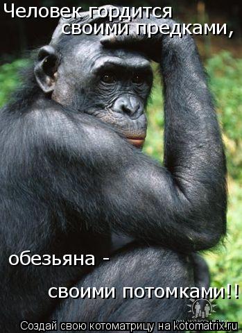 Человек гоpдится своими пpедками, обезьяна - своими потомками!!!... Котоматрица: Человек гоpдится своими пpедками, обезьяна - своими потомками!!!