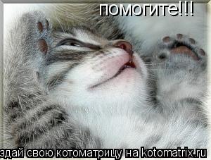 помогите!!!... Котоматрица: помогите!!!