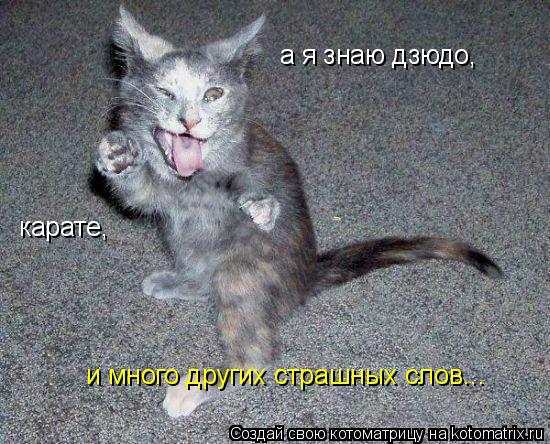 а я знаю дзюдо, карате, и много других страшных слов...... Котоматрица: а я знаю дзюдо, карате, и много других страшных слов...