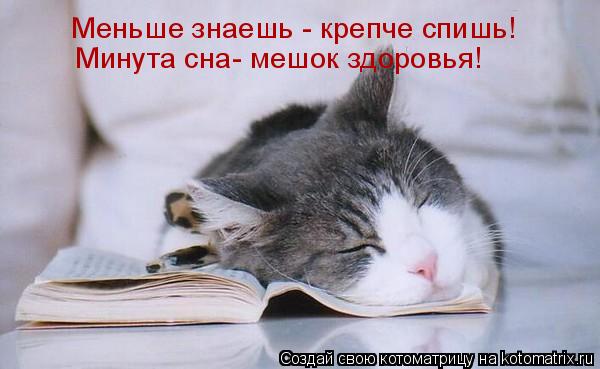 Меньше знаешь - крепче спишь! Минута сна- мешок здоровья!... Котоматрица: Меньше знаешь - крепче спишь! Минута сна- мешок здоровья!