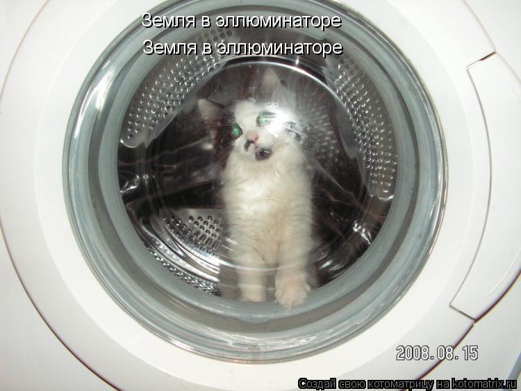 Земля в эллюминаторе Земля в эллюминаторе... Котоматрица: Земля в эллюминаторе Земля в эллюминаторе