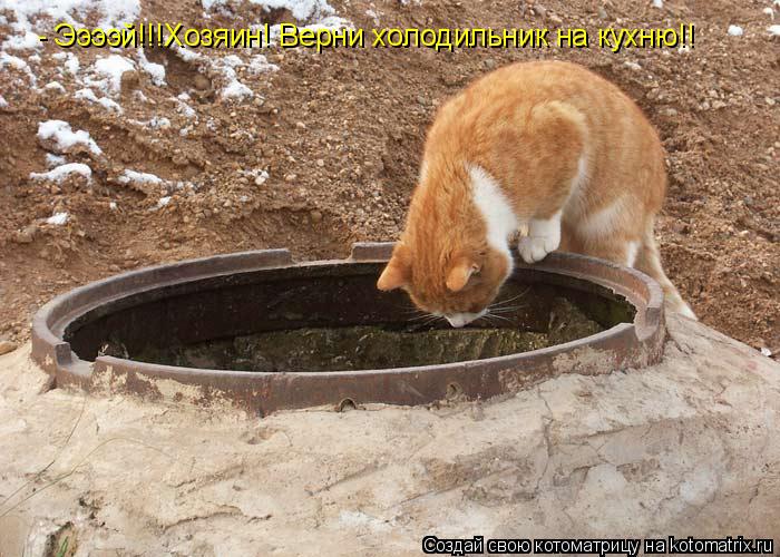 - Ээээй!!!Хозяин! Верни холодильник на кухню!!... Котоматрица: - Ээээй!!!Хозяин! Верни холодильник на кухню!!