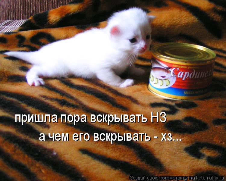 пришла пора вскрывать НЗ а чем его вскрывать - хз...... Котоматрица: пришла пора вскрывать НЗ а чем его вскрывать - хз...