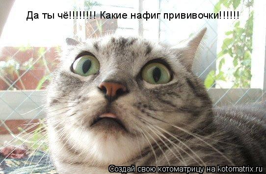Да ты чё!!!!!!!! Какие нафиг прививочки!!!!!!... Котоматрица: Да ты чё!!!!!!!! Какие нафиг прививочки!!!!!!