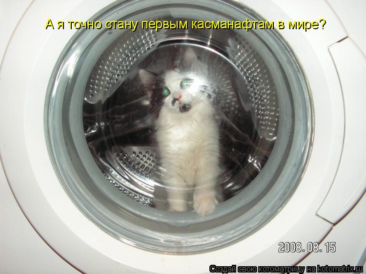 А я точно стану первым касманафтам в мире?... Котоматрица: А я точно стану первым касманафтам в мире?