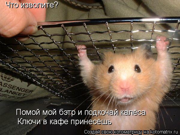 Что изволите? Помой мой бэтр и подкочай калёса Ключи в кафе принесёшь... Котоматрица: Что изволите? Помой мой бэтр и подкочай калёса Ключи в кафе принесёшь
