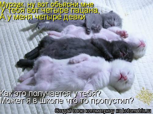 Как это получается у тебя? Может я в школе что то пропустил? Мурзик, ну вот обьясни мне А у меня четы... Котоматрица: Как это получается у тебя? Может я в школе что то пропустил? Мурзик, ну вот обьясни мне А у меня четыре девки У тебя вот четыре пацана,