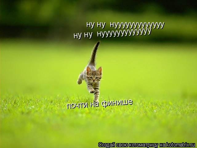 ну ну нууууууууууууу ну ну нууууууууууууу почти на финише... Котоматрица: ну ну нууууууууууууу ну ну нууууууууууууу почти на финише