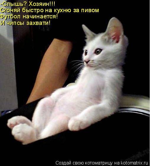 -Слышь? Хозяин!!! Сгоняй быстро на кухню за пивом Сгоняй быстро на кухню за пивом Футбол начинается! ... Котоматрица: -Слышь? Хозяин!!! Сгоняй быстро на кухню за пивом Сгоняй быстро на кухню за пивом Футбол начинается! И чипсы захвати!