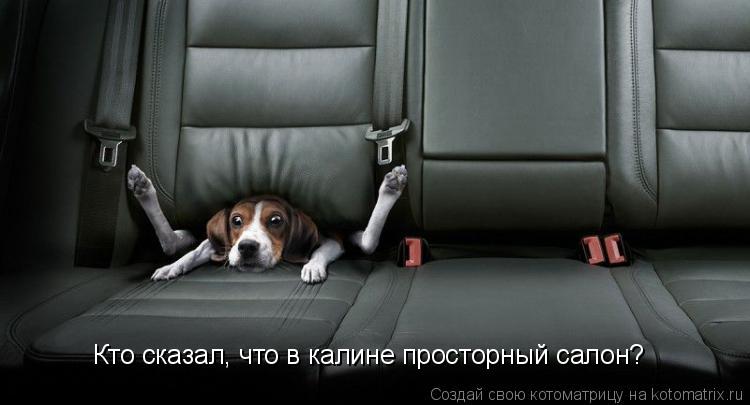 Кто сказал, что в калине просторный салон?... Котоматрица: Кто сказал, что в калине просторный салон?