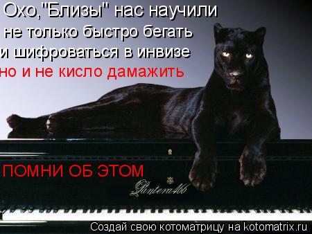 Охо,"Близы" нас научили не только быстро бегать и шифроваться в инвизе но и не кисло дамажить ПОМНИ ... Котоматрица: Охо,"Близы" нас научили не только быстро бегать и шифроваться в инвизе но и не кисло дамажить ПОМНИ ОБ ЭТОМ