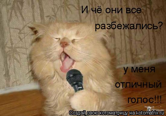 И чё они все разбежались? у меня отличный голос!!!... Котоматрица: И чё они все разбежались? у меня отличный голос!!!