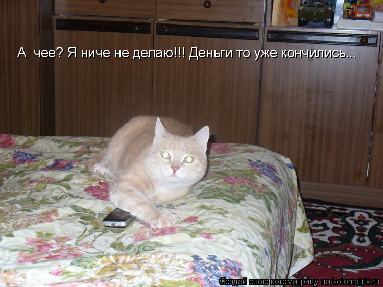 А чее? Я ниче не делаю!!! Деньги то уже кончились...... Котоматрица: А чее? Я ниче не делаю!!! Деньги то уже кончились...