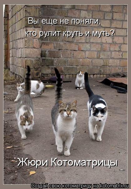 Вы еще не поняли, Вы еще не поняли, кто рулит круть и муть? Жюри Котоматрицы... Котоматрица: Вы еще не поняли, Вы еще не поняли, кто рулит круть и муть? Жюри Котоматрицы