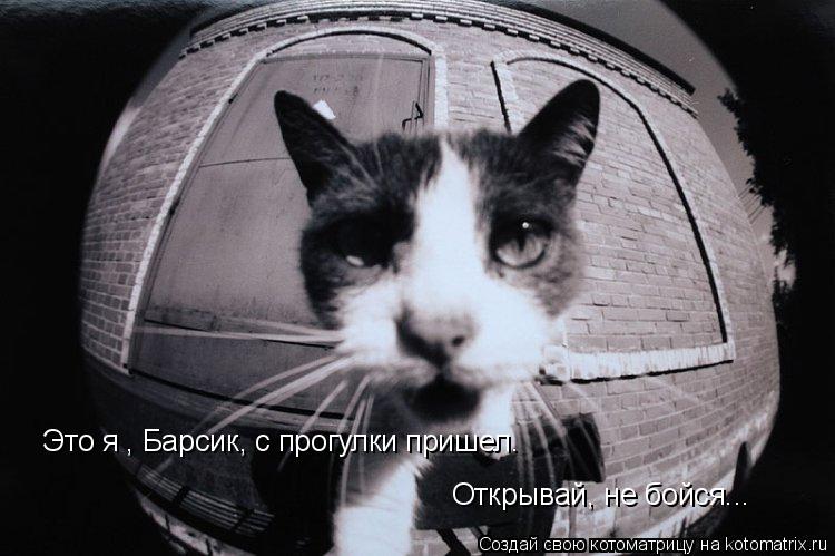 Это я , Барсик, с прогулки пришел. Открывай, не бойся...... Котоматрица: Это я , Барсик, с прогулки пришел. Открывай, не бойся...