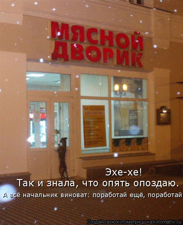 Эхе-хе! Так и знала, что опять опоздаю. А всё начальник виноват: поработай ещё, поработай.... Котоматрица: Эхе-хе! Так и знала, что опять опоздаю. А всё начальник виноват: поработай ещё, поработай.