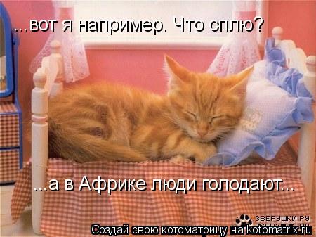 ...вот я например. Что сплю? ...а в Африке люди голодают...... Котоматрица: ...вот я например. Что сплю? ...а в Африке люди голодают...