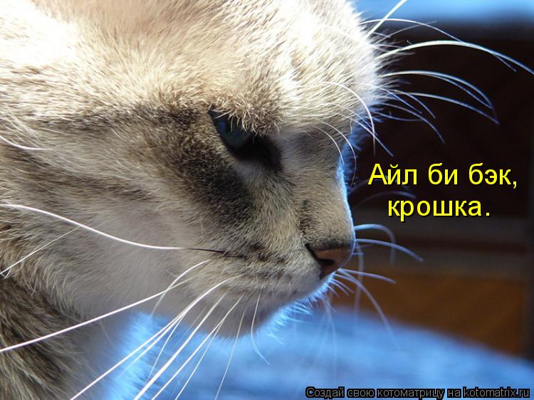 Котоматрица: Айл би бэк, крошка.