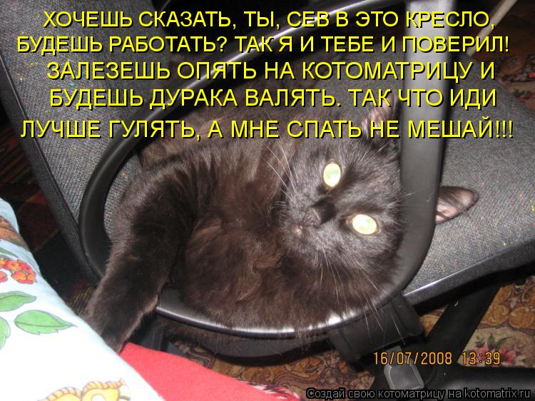 ХОЧЕШЬ СКАЗАТЬ, ТЫ, СЕВ В ЭТО КРЕСЛО, БУДЕШЬ РАБОТАТЬ? ТАК Я И ТЕБЕ И ПОВЕРИЛ! ЗАЛЕЗЕШЬ ОПЯТЬ НА КОТ... Котоматрица: ХОЧЕШЬ СКАЗАТЬ, ТЫ, СЕВ В ЭТО КРЕСЛО, БУДЕШЬ РАБОТАТЬ? ТАК Я И ТЕБЕ И ПОВЕРИЛ! ЗАЛЕЗЕШЬ ОПЯТЬ НА КОТОМАТРИЦУ И БУДЕШЬ ДУРАКА ВАЛЯТЬ. ТАК ЧТО И