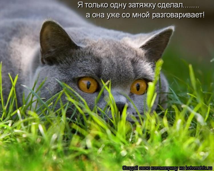 Я только одну затяжку сделал........ а она уже со мной разговаривает!... Котоматрица: Я только одну затяжку сделал........ а она уже со мной разговаривает!