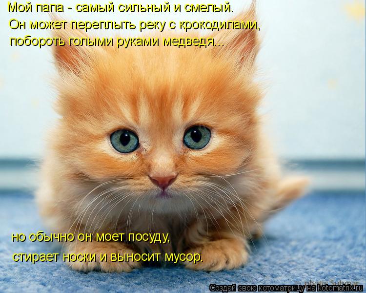 Мой папа - самый сильный и смелый. но обычно он моет посуду, стирает носки и выносит мусор. побороть ... Котоматрица: Мой папа - самый сильный и смелый. но обычно он моет посуду, стирает носки и выносит мусор. побороть голыми руками медведя... Он может переплы