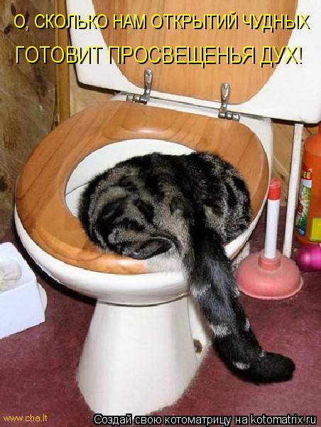 ГОТОВИТ ПРОСВЕЩЕНЬЯ ДУХ! О, СКОЛЬКО НАМ ОТКРЫТИЙ ЧУДНЫХ... Котоматрица: ГОТОВИТ ПРОСВЕЩЕНЬЯ ДУХ! О, СКОЛЬКО НАМ ОТКРЫТИЙ ЧУДНЫХ