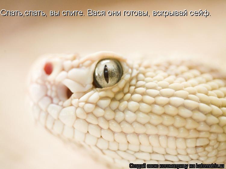 Спать,спать, вы спите. Вася они готовы, вскрывай сейф.... Котоматрица: Спать,спать, вы спите. Вася они готовы, вскрывай сейф.