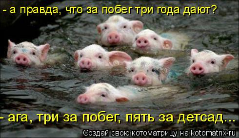 - а правда, что за побег три года дают? - ага, три за побег, пять за детсад...... Котоматрица: - а правда, что за побег три года дают? - ага, три за побег, пять за детсад...