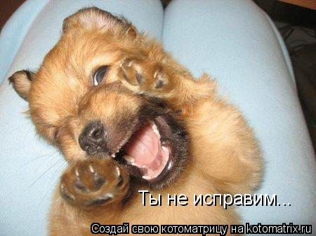 Ты не исправим...... Котоматрица: Ты не исправим...